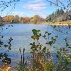 South end of the Lake